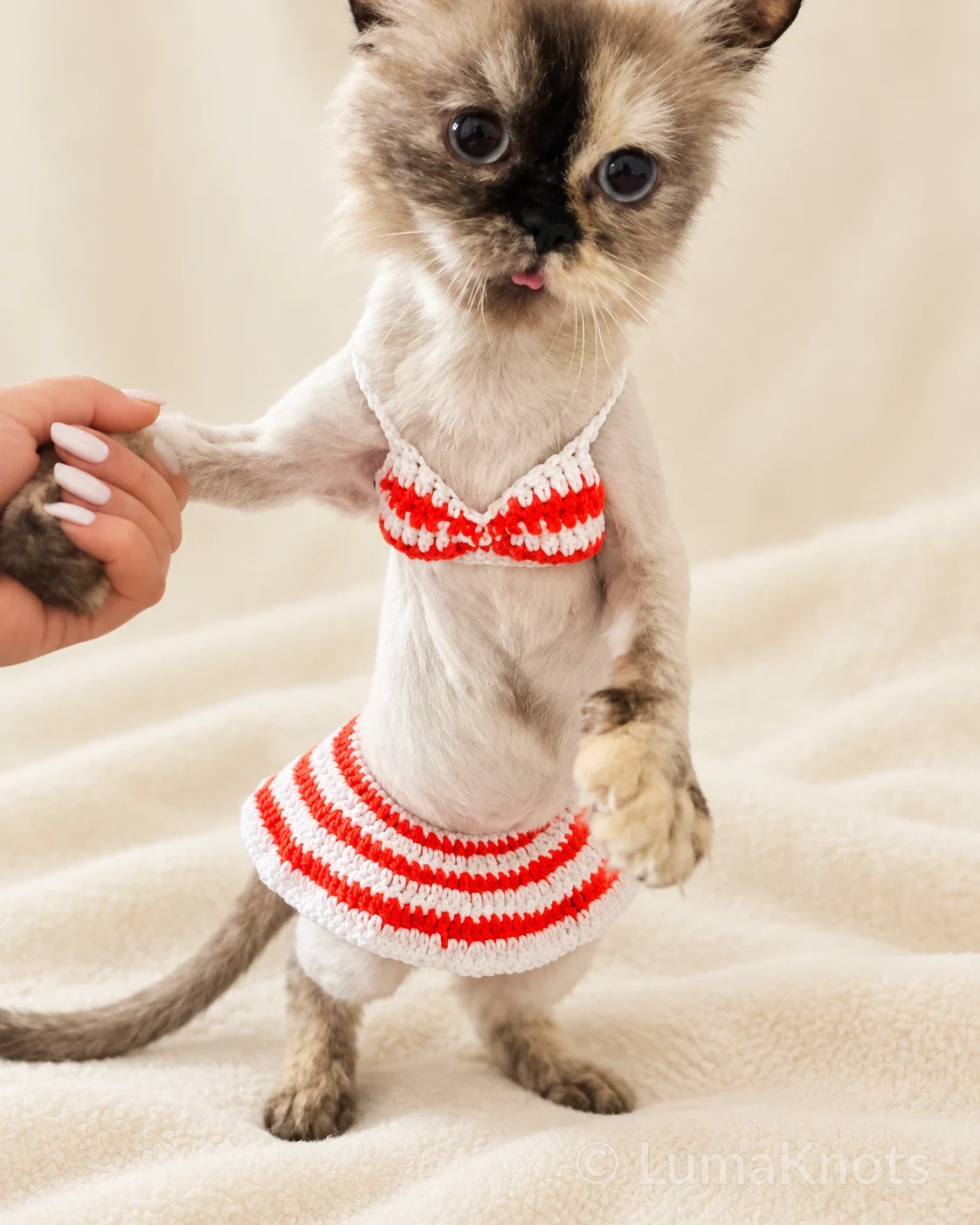 Striped Crochet Cat Bikini