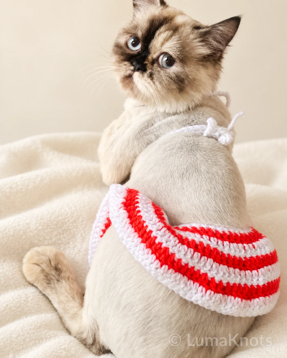 Striped Crochet Cat Bikini, image 3